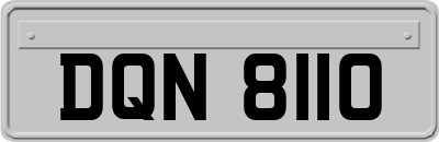 DQN8110