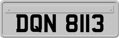 DQN8113