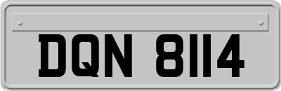 DQN8114