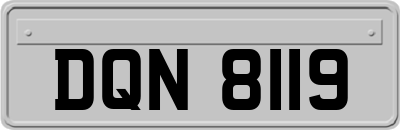 DQN8119