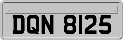 DQN8125