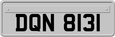 DQN8131