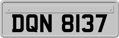 DQN8137