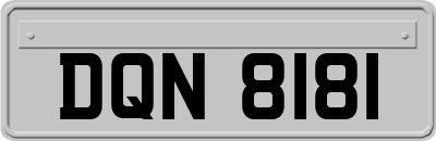 DQN8181