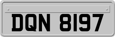 DQN8197