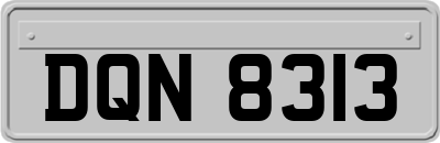 DQN8313
