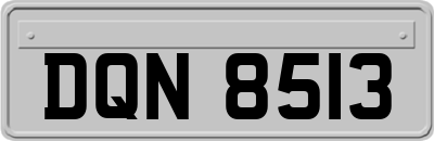 DQN8513