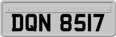 DQN8517