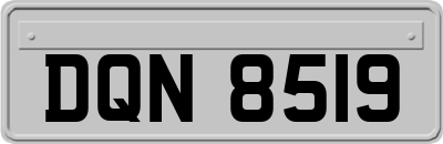 DQN8519