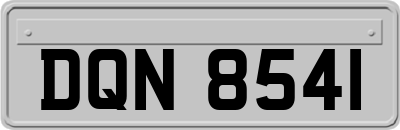 DQN8541