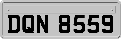 DQN8559