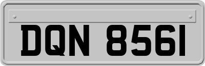 DQN8561