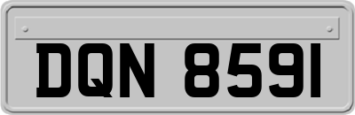 DQN8591