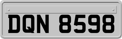 DQN8598