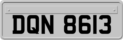 DQN8613