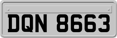 DQN8663