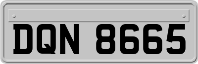 DQN8665