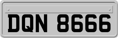 DQN8666