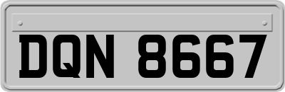 DQN8667