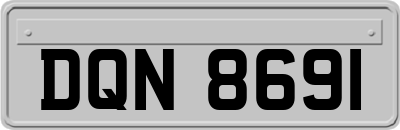 DQN8691
