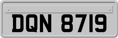 DQN8719
