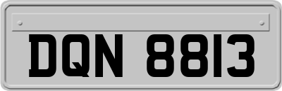 DQN8813