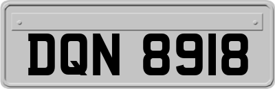 DQN8918