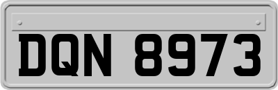 DQN8973