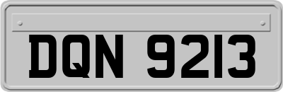 DQN9213