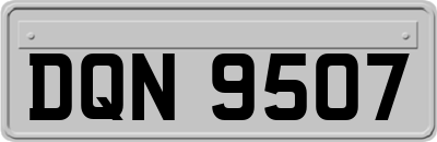 DQN9507
