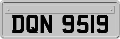 DQN9519