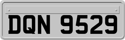DQN9529