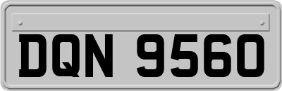 DQN9560