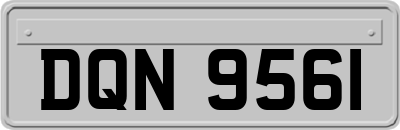DQN9561