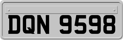 DQN9598