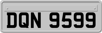 DQN9599