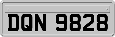 DQN9828
