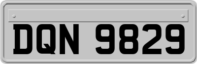 DQN9829