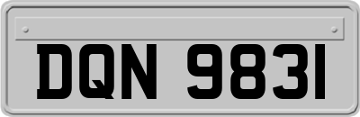 DQN9831