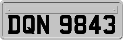 DQN9843