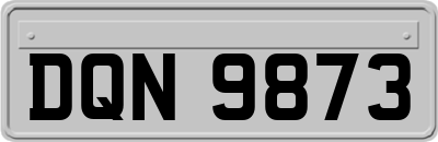 DQN9873