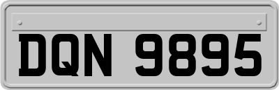 DQN9895