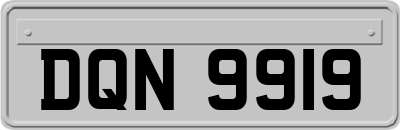 DQN9919