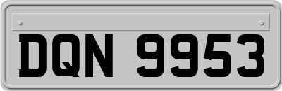 DQN9953