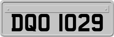 DQO1029