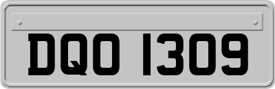 DQO1309