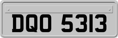 DQO5313