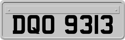 DQO9313