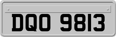 DQO9813