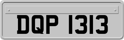 DQP1313